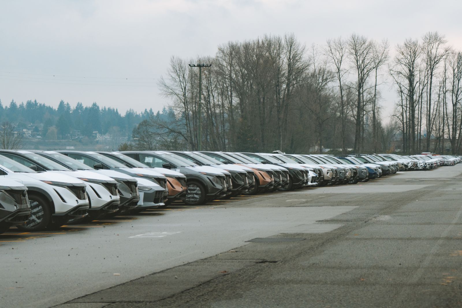 A long row of vehicles parked nose-out on a dealer lot under an overcast sky