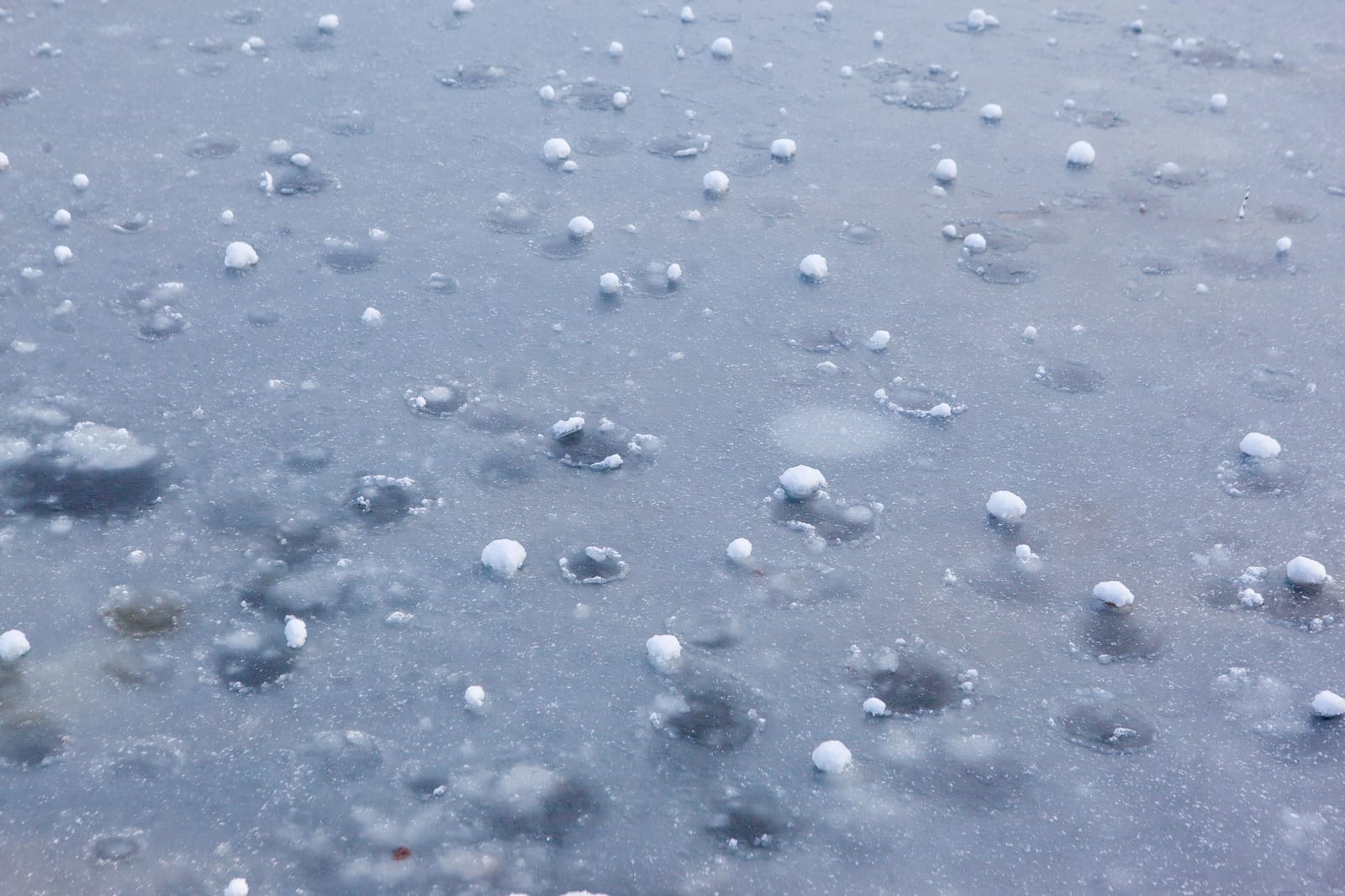 Close-up of pea and marble sized hailstones scattered across a sheet of grey ice after a storm