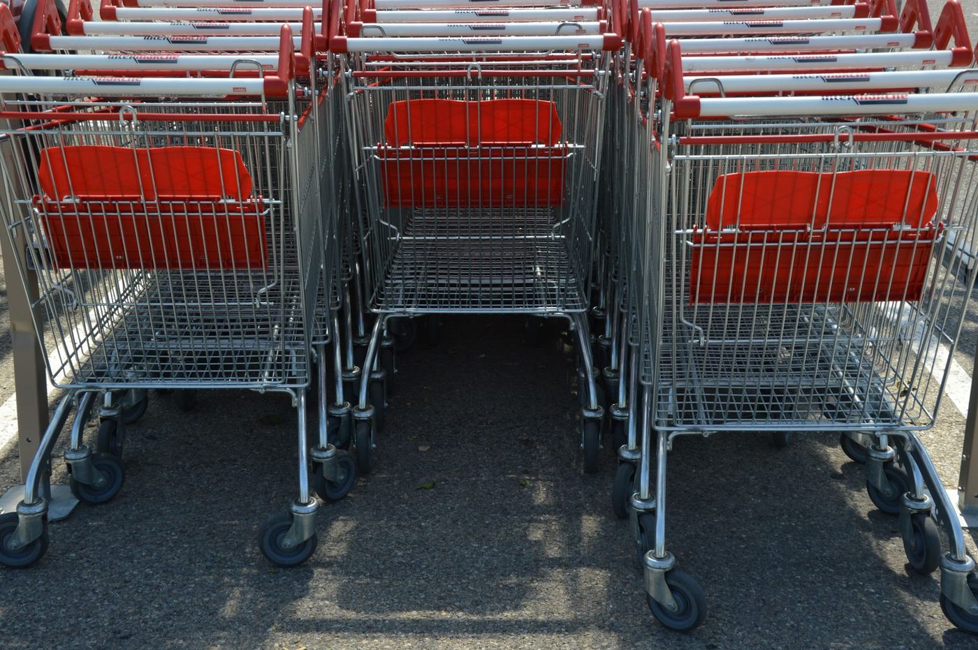 Rows of shopping carts nested together in an outdoor grocery store parking lot